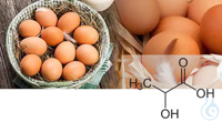 CDR FoodLab L-LACTC ACID ON EGGS Test Kit 